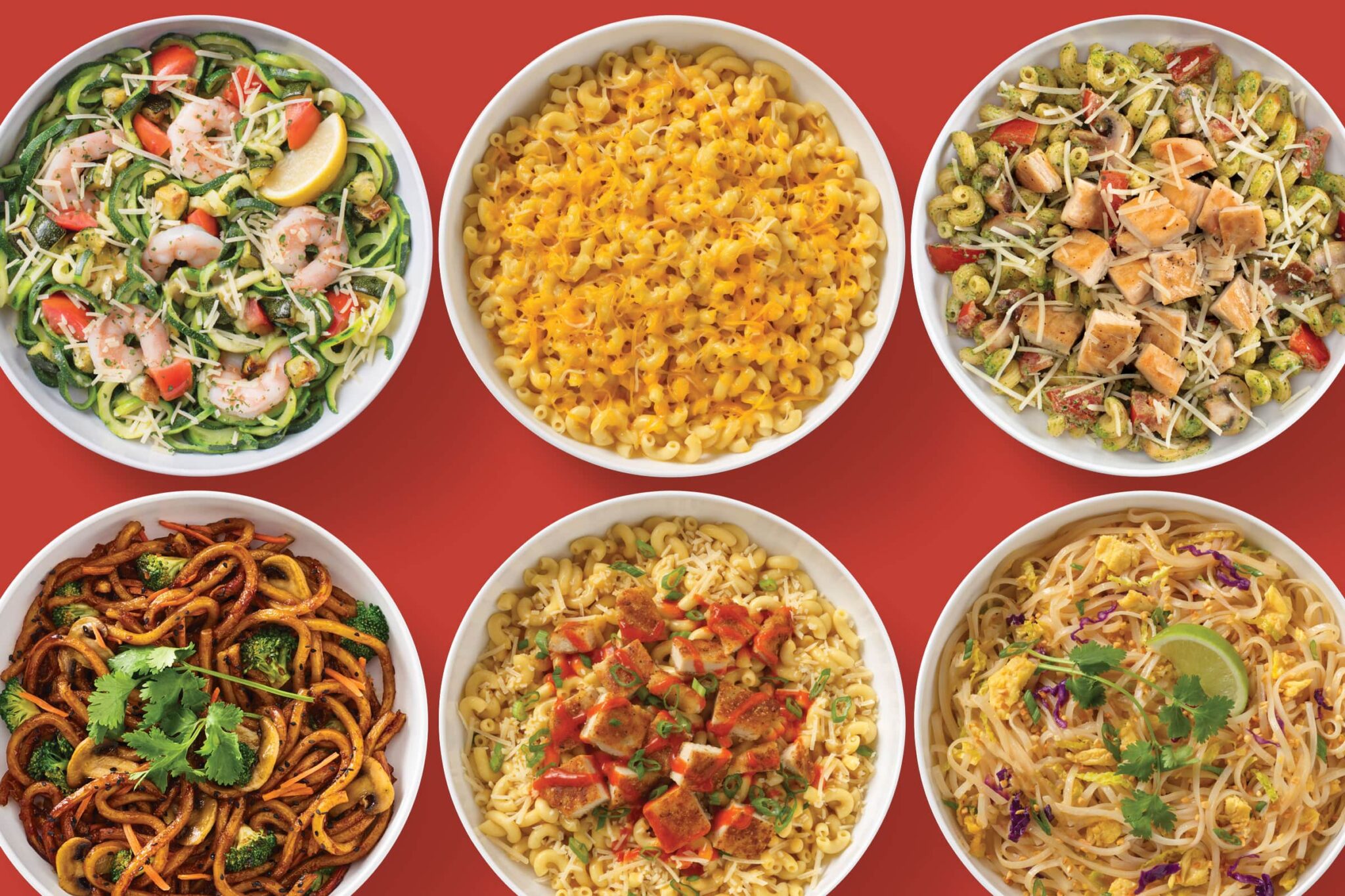 Noodles and Company Menu Prices (2024) All Menu Food